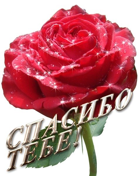 Ольга Сергеевна с днем рождения