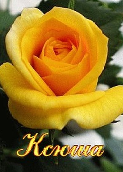 С днём рождения Жанночка