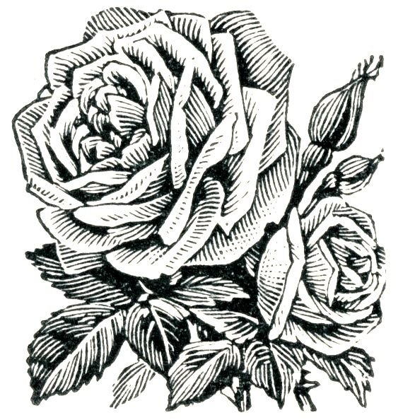 Эскизы для росписи по ткани