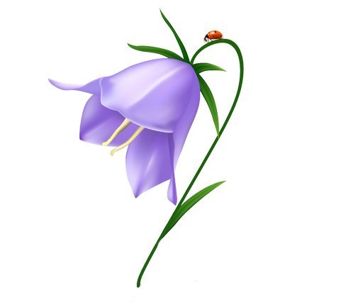 Векторный цветок колокольчик