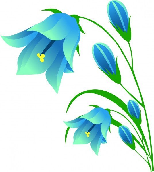 Мультяшные цветы колокольчики