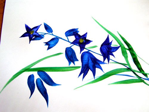 Колокольчик цветок для детей
