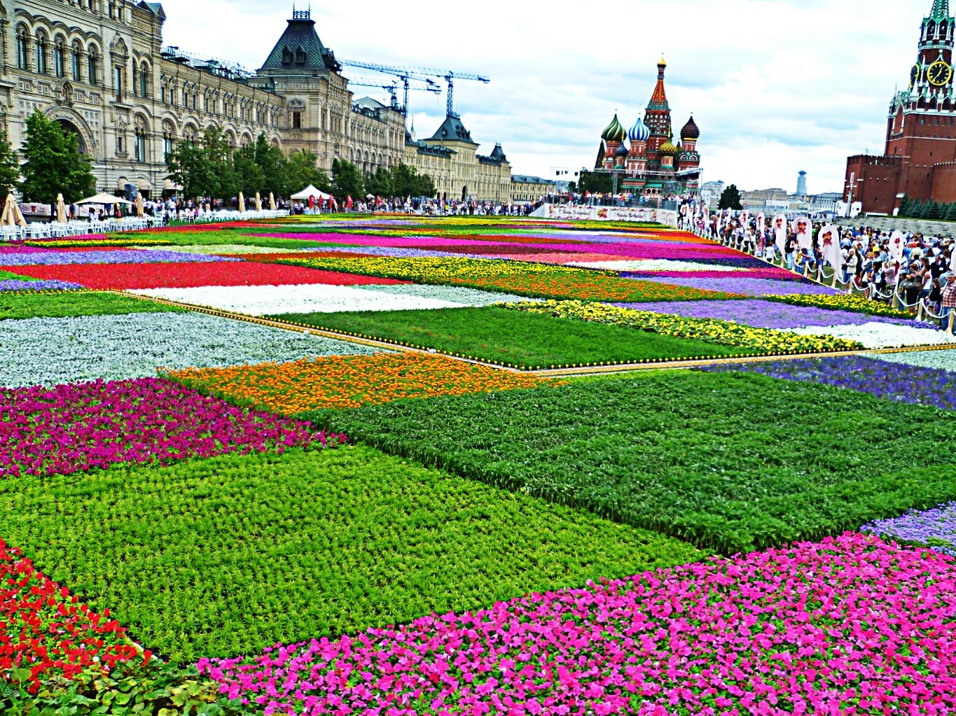Клумба цветы россии