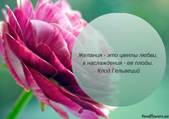 Высказывания про цветы