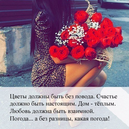 Фразы про цветы без повода