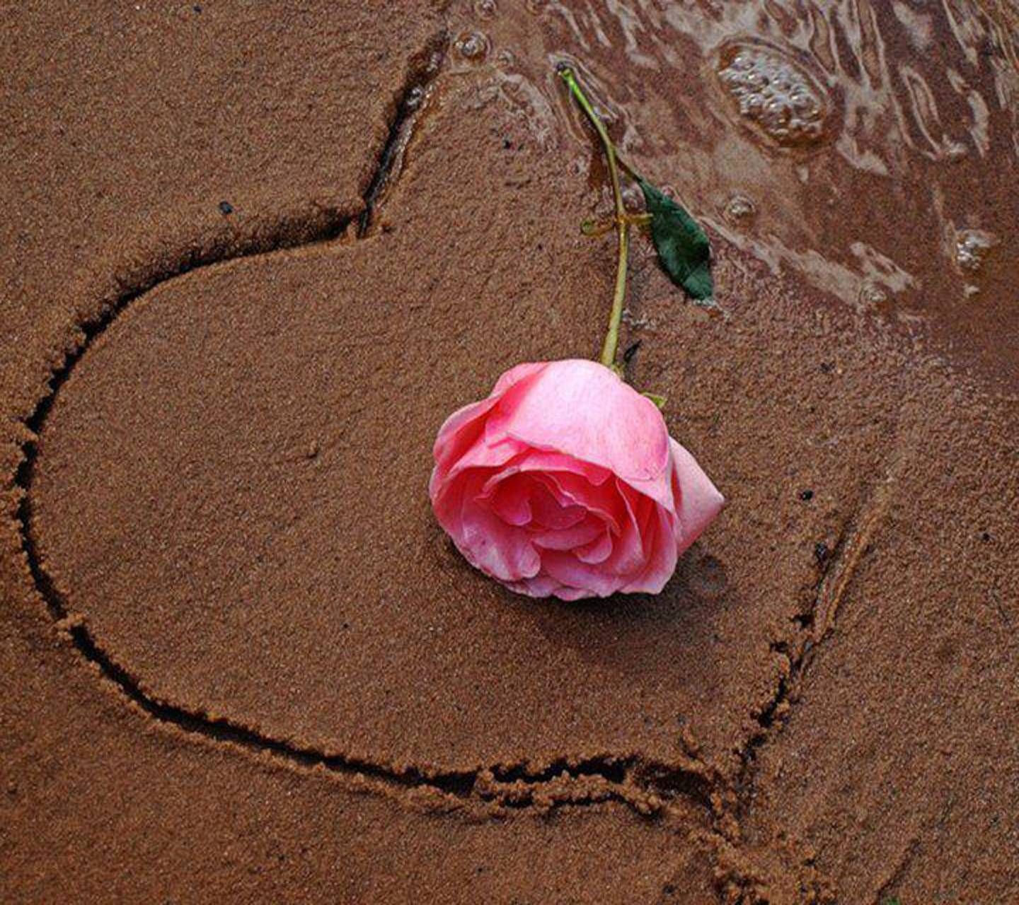 Статус открытка красиво. Цветы на песке. Лепестки роз на песке. Красивые картинки со смыслом.