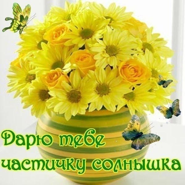 Яркого солнечного дня и хорошего настроения