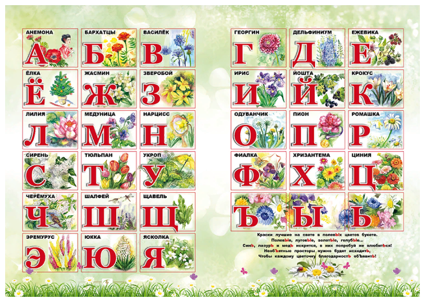 Цветочная Азбука. Азбука растений и цветов для детей. Растения на буквы алфавита. Растения на каждую букву алфавита.