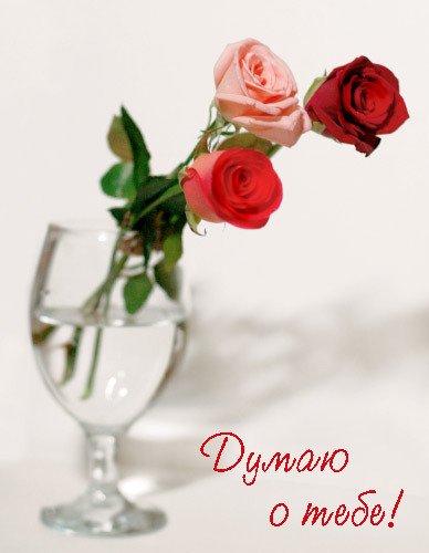 Цветы скучаю