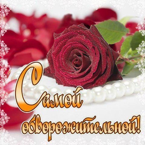 Красивые живые открытки с пожеланиями