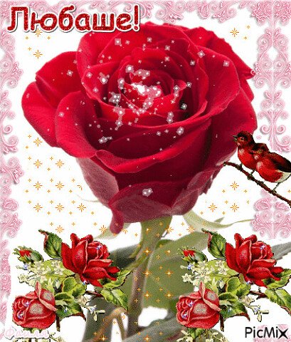 Цветы для Любы