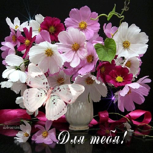 Картинки  доброе утро хорошего дня цветы орхидея (58 фото)