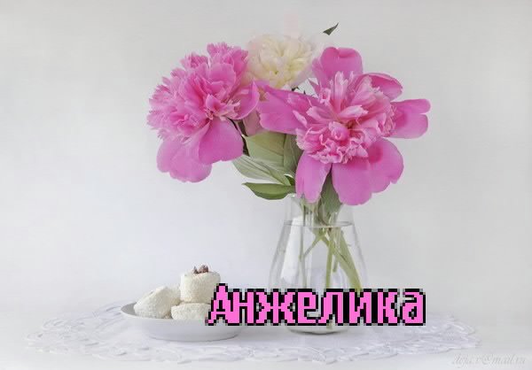 Цветы Анжеле