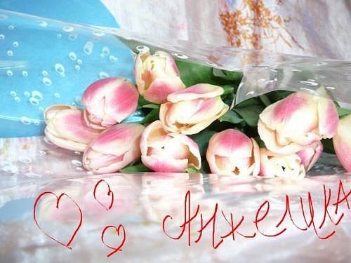 Цветы для Анжелики