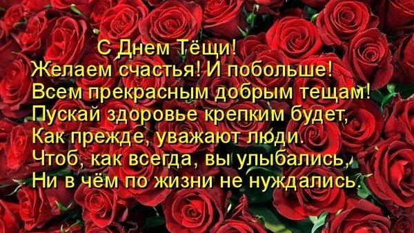 Астра е6 цветы