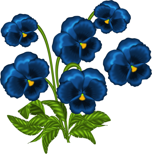 Анютины глазки цветы вектор
