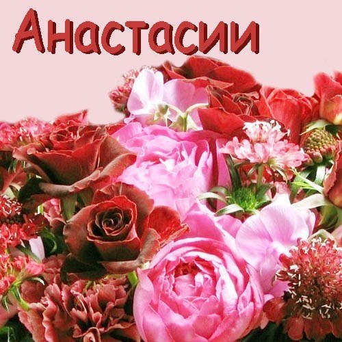 Настя открытка