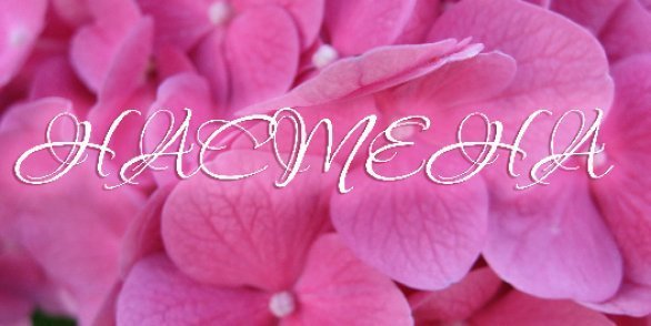 Цветы для Настюшки