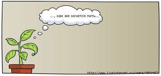 Напоминалка поливать цветы