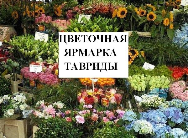 Выставка цветов в Краснодаре
