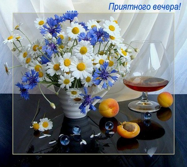 Добрый вечер ромашки