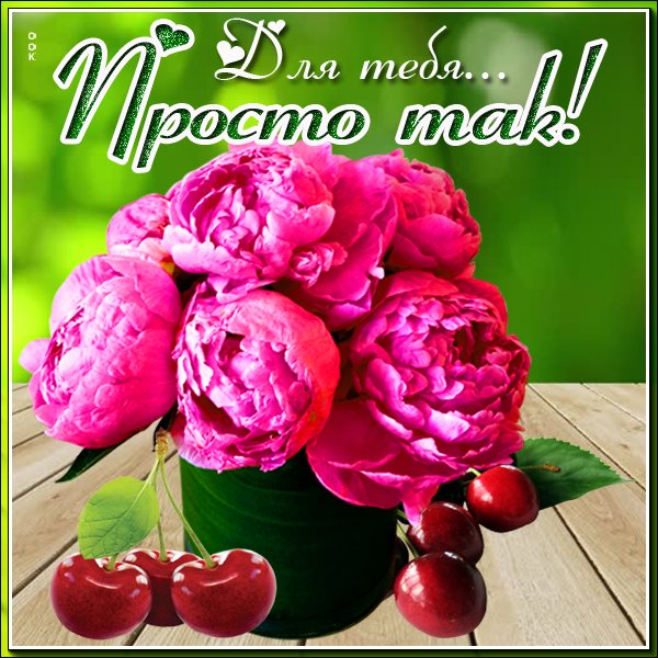 Пионы с пожеланиями