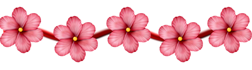 Полоса из цветов на белом фоне