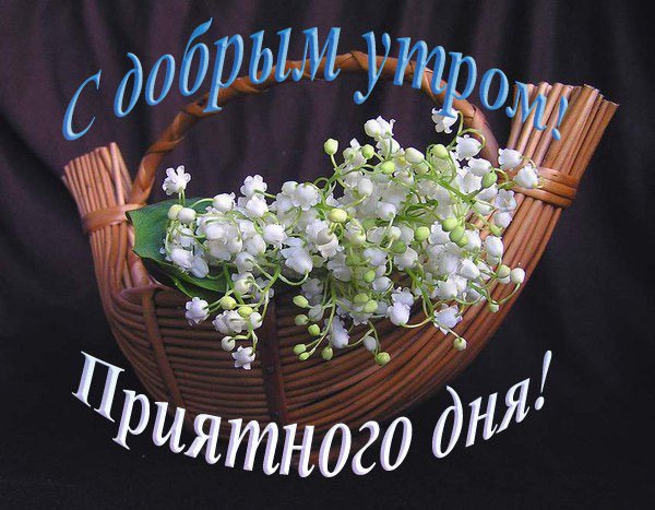 С добрым утром мама цветы