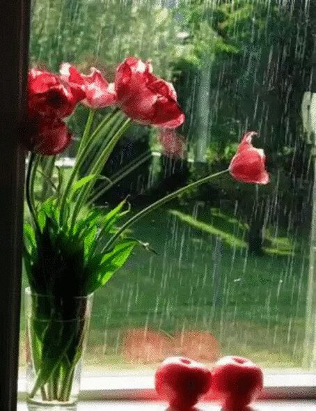 Доброе дождливое утро