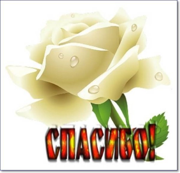 Стикеры спасибо цветы