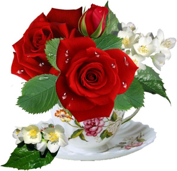 Доброе утро Леночка