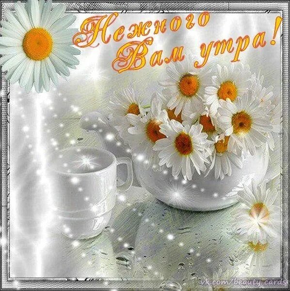 Доброе утро тюльпаны