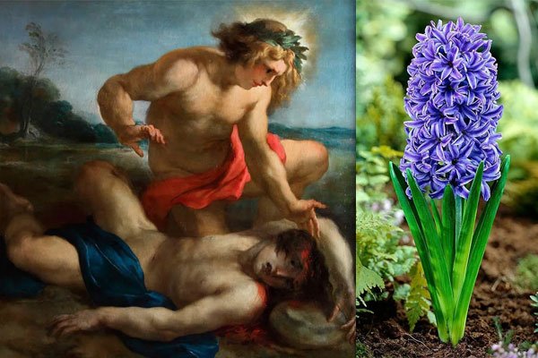 Ангел на прозрачном фоне