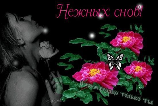 Спокойной ночи девушке с розами