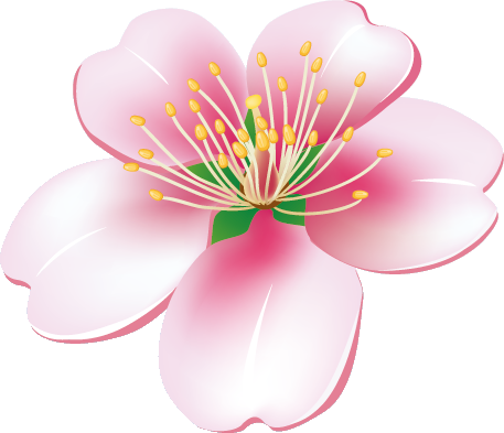 Яблоневый цвет для вырезания