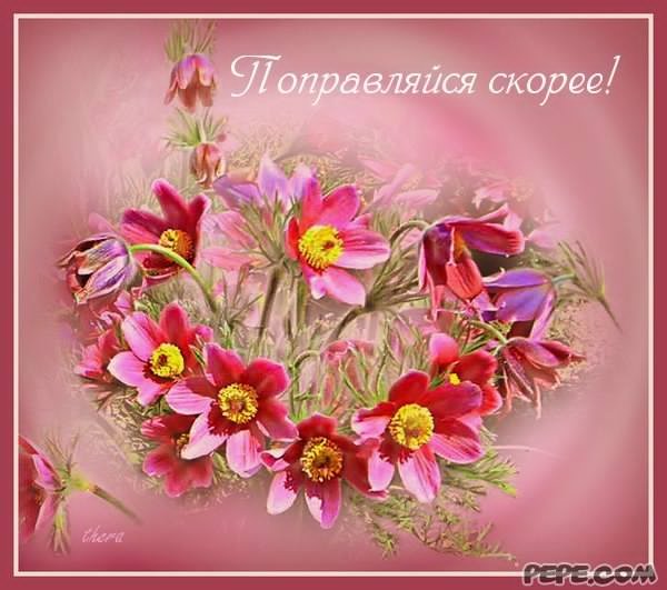 Цветы для выздоровления