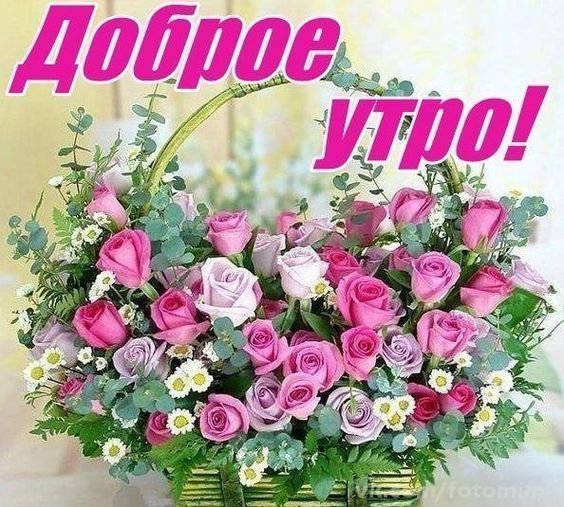 Букет цветов с добрым утром