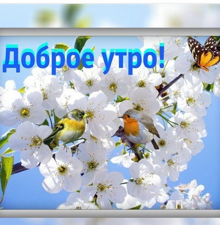 Доброе утро зорошего дея