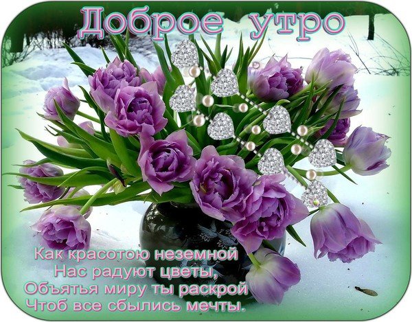 Солнечного утра и хорошего настроения