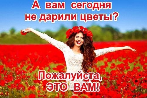 Дарите девушкам цветы прикол