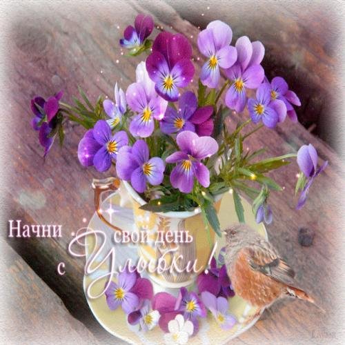 Доброго дня ирисы