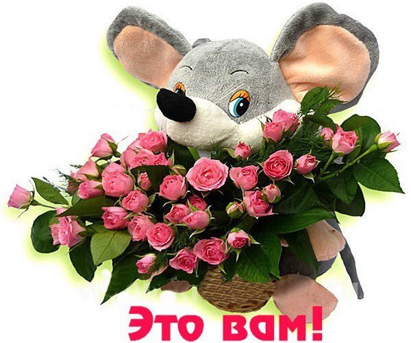 Хомяк с ромашкой