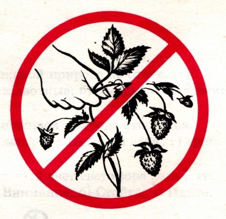 Нельзя рвать редкие растения