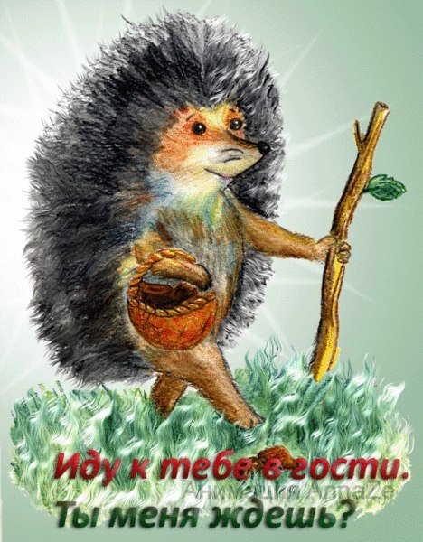 Открытки с животными смешные с надписями бесплатно
