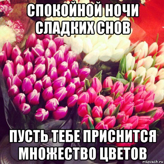 Пожелание спокойной ночи с букетом роз