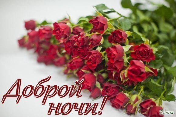 Пожелание спокойной ночи с букетом роз