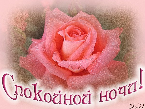 Открытки спокойной ночи с розами