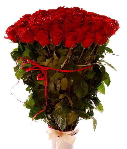 Самые красивые цветы для Танюшки