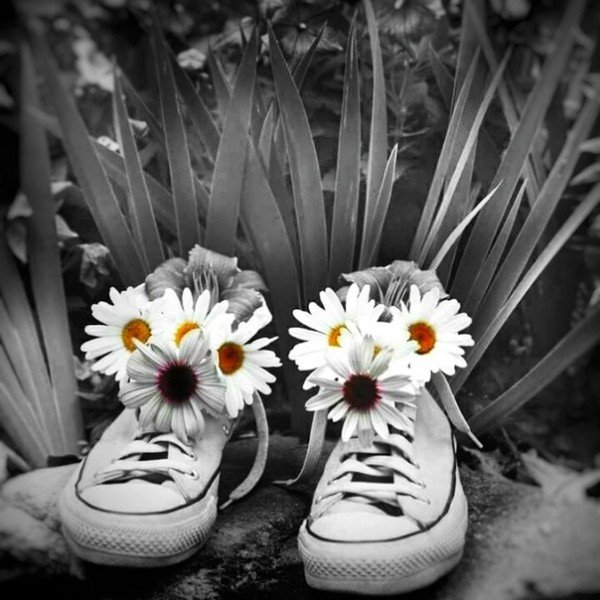 Ромашки в ботинках