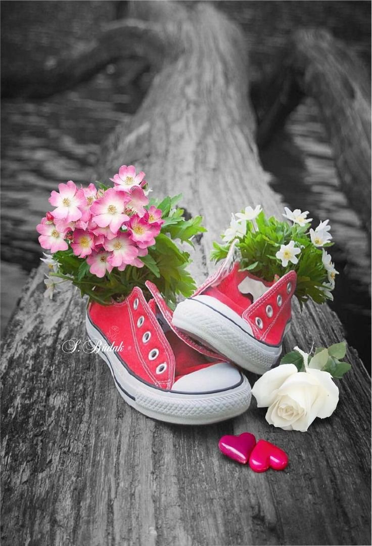 Обувь в цветах